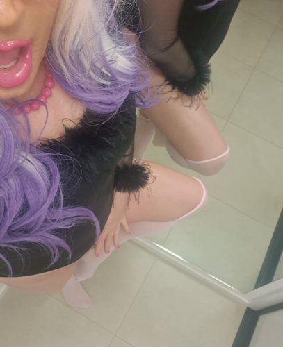 Nova _Vrhunska orala. Trans